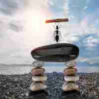 高‍级‌自​动‍发‌帖﻿系‌统​